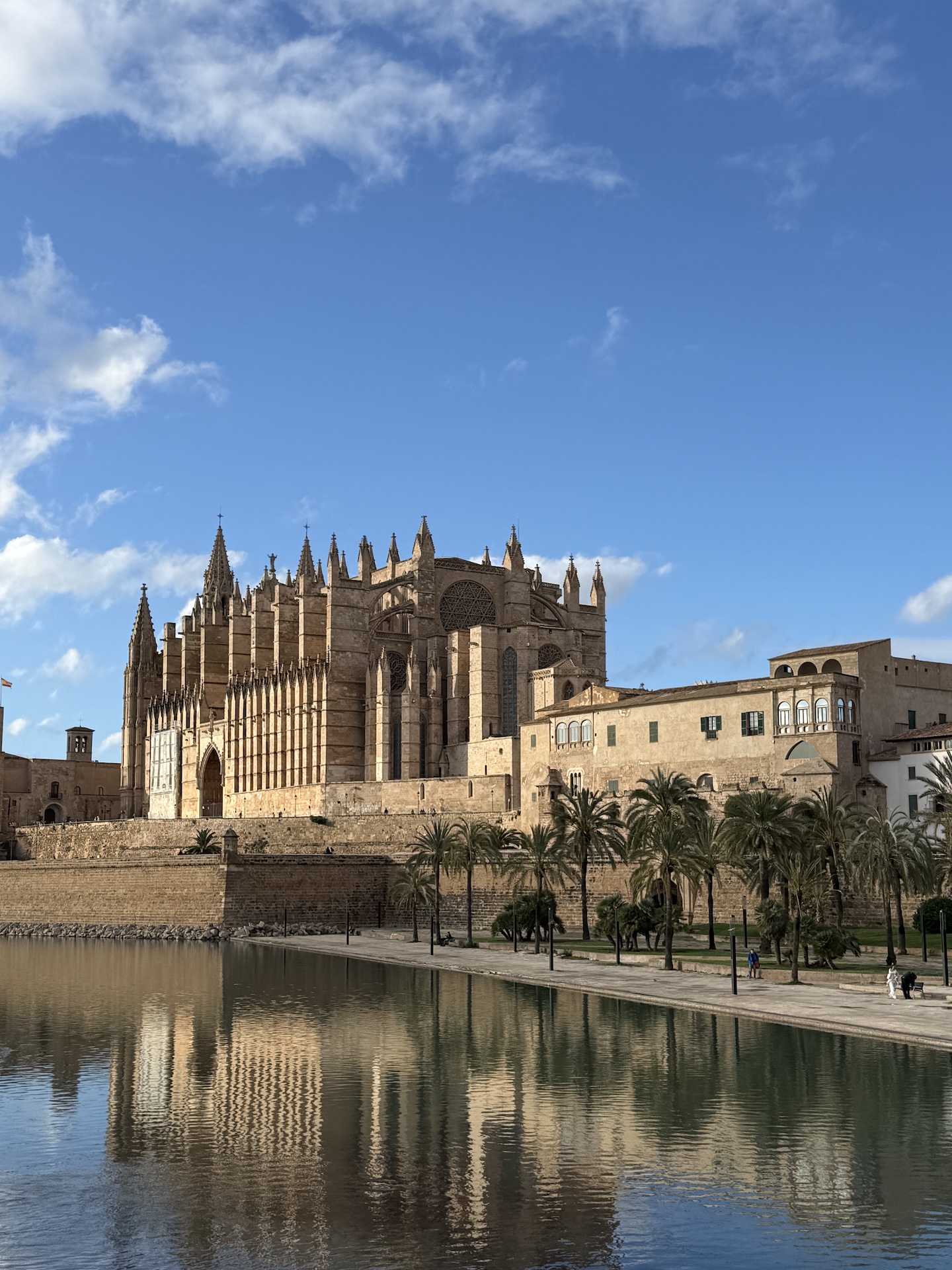 Palma cathedral