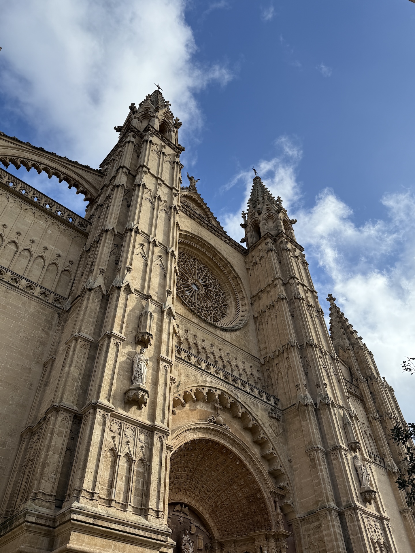 Palma cathedral