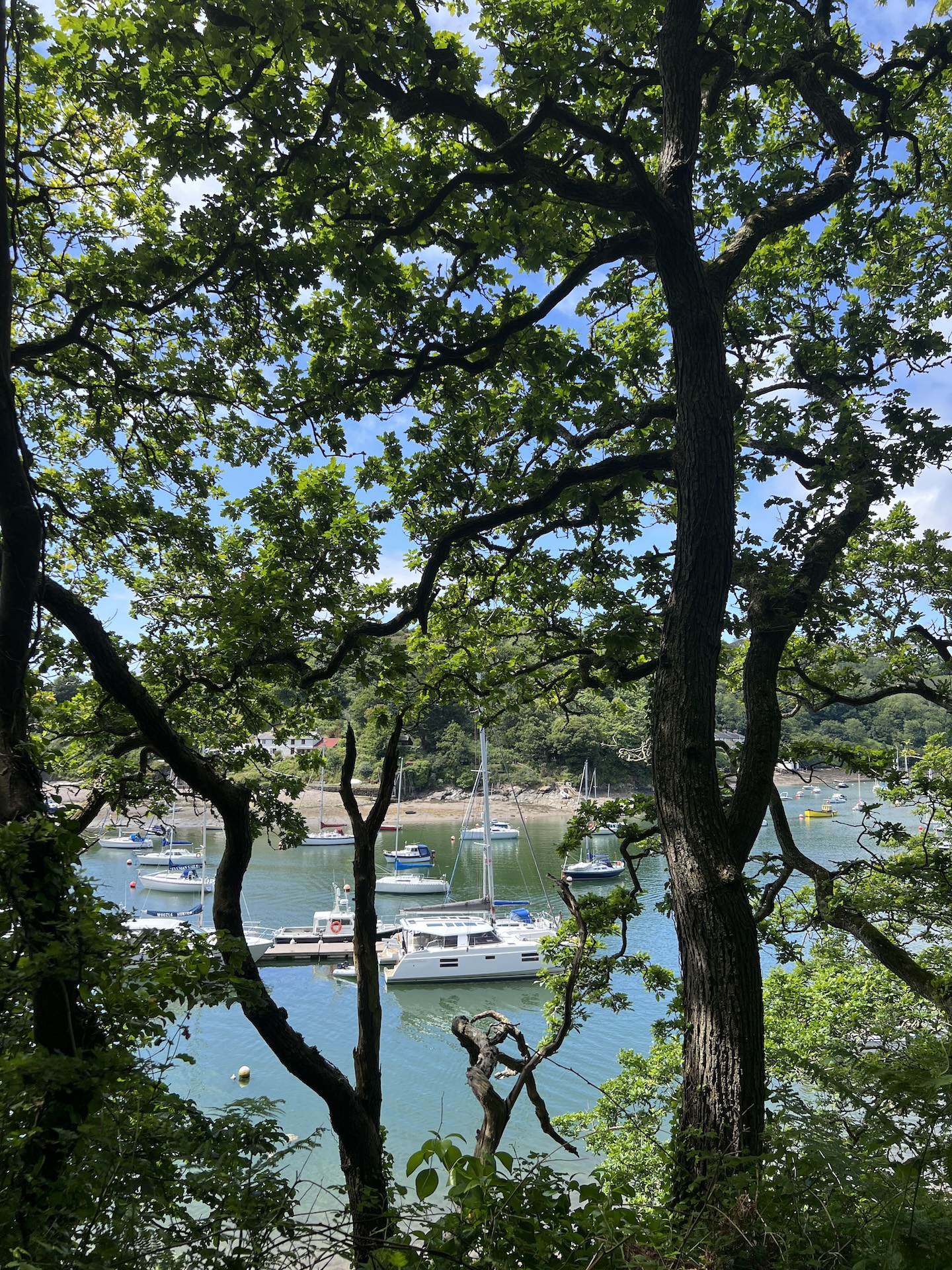 Sailboats in Plymouth